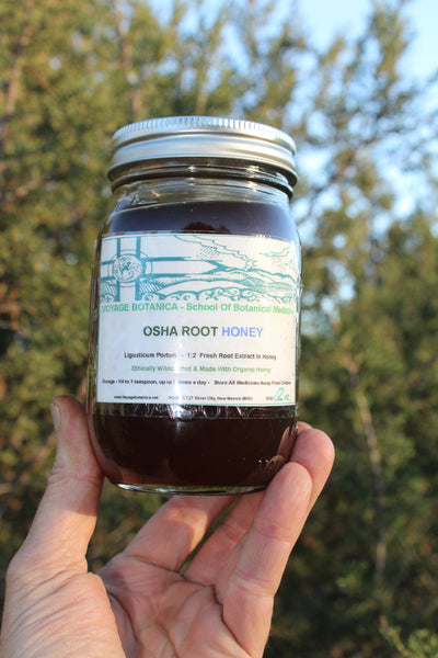 OSHA ROOT HONEY - (Ligusticum porteri)  -  12 ounce size -