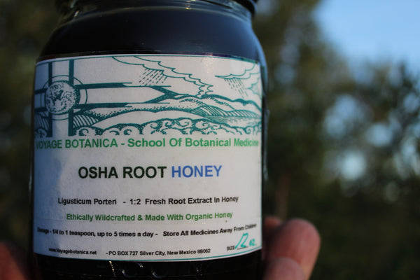 OSHA ROOT HONEY - (Ligusticum porteri)  -  12 ounce size -