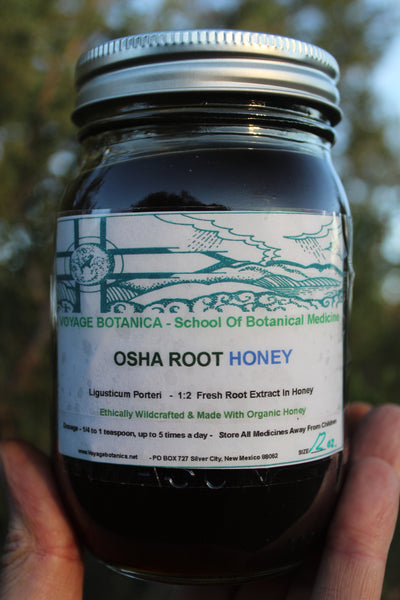 OSHA ROOT HONEY - (Ligusticum porteri)  -  12 ounce size -