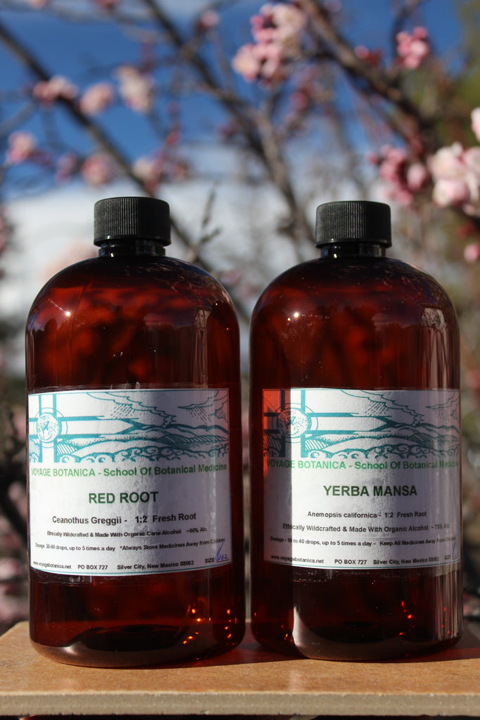 SUPER SPECIAL - 16 Ounce Prepper Size - YERBA MANSA ROOT & RED ROOT - THE MOST Important Plant Medicines in My Apothecary -  Used by Thousands of People!  * Please Do Not Use Discount Codes!