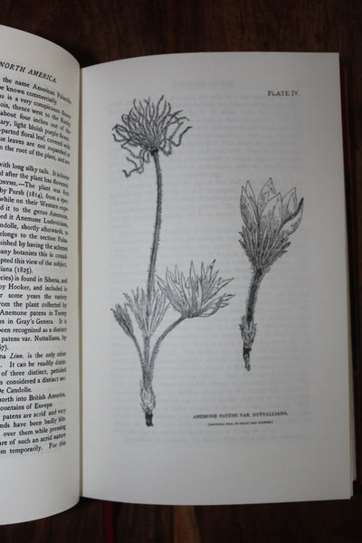 Awesome - Rare & Useful Book Collection - Dispensatory, Materia Medica & Plant Medicine - Please Do Not Use Any Discount Codes On This Listing!