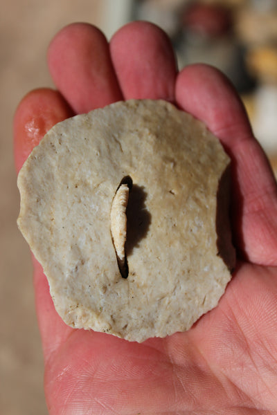 SPECIAL FUND RAISER  - 125+  Artifacts From SE United States - Some Amazing Pieces!!!