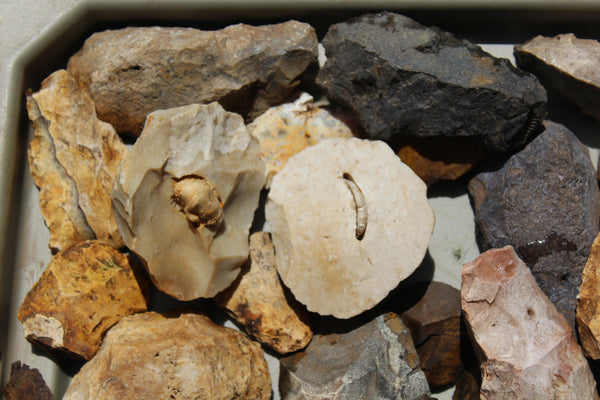 SPECIAL FUND RAISER  - 125+  Artifacts From SE United States - Some Amazing Pieces!!!
