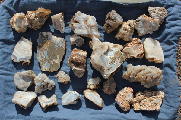 SPECIAL FUND RAISER - BEAUTIFUL - MINERAL - LUNA AGATE - Catron County, New Mexico - 16 Pounds of Lovely Specimens - GREAT For Cutting, Rock Shops, Beautiful in Aquariums, Terrariums and GARDENS