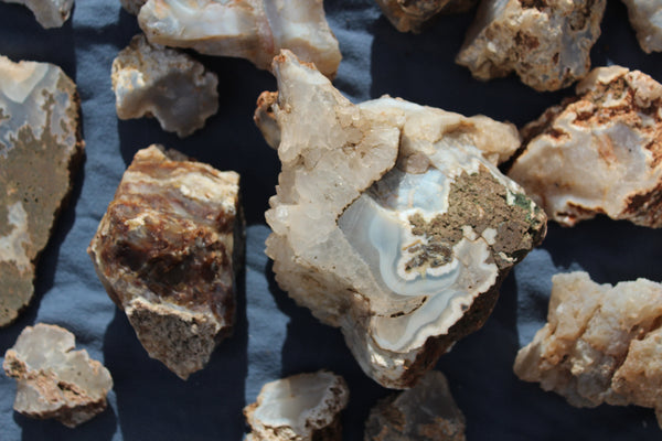 SPECIAL FUND RAISER - BEAUTIFUL - MINERAL - LUNA AGATE - Catron County, New Mexico - 16 Pounds of Lovely Specimens - GREAT For Cutting, Rock Shops, Beautiful in Aquariums, Terrariums and GARDENS