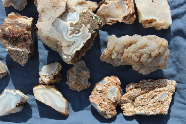 SPECIAL FUND RAISER - BEAUTIFUL - MINERAL - LUNA AGATE - Catron County, New Mexico - 16 Pounds of Lovely Specimens - GREAT For Cutting, Rock Shops, Beautiful in Aquariums, Terrariums and GARDENS