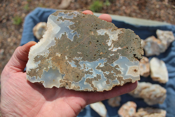 SPECIAL FUND RAISER - BEAUTIFUL - MINERAL - LUNA AGATE - Catron County, New Mexico - 16 Pounds of Lovely Specimens - GREAT For Cutting, Rock Shops, Beautiful in Aquariums, Terrariums and GARDENS