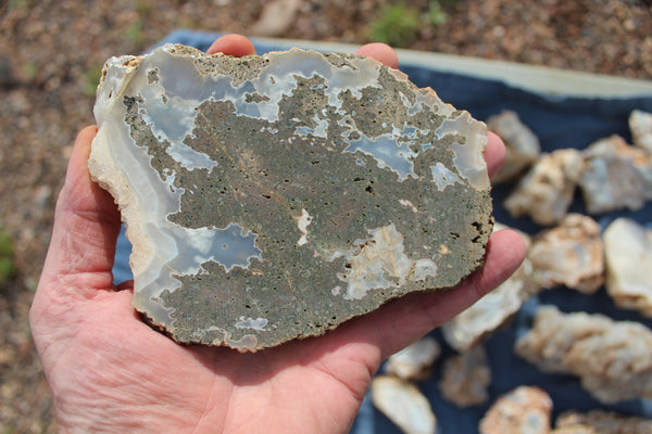SPECIAL FUND RAISER - BEAUTIFUL - MINERAL - LUNA AGATE - Catron County, New Mexico - 16 Pounds of Lovely Specimens - GREAT For Cutting, Rock Shops, Beautiful in Aquariums, Terrariums and GARDENS