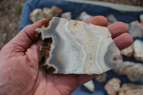 SPECIAL FUND RAISER - BEAUTIFUL - MINERAL - LUNA AGATE - Catron County, New Mexico - 16 Pounds of Lovely Specimens - GREAT For Cutting, Rock Shops, Beautiful in Aquariums, Terrariums and GARDENS