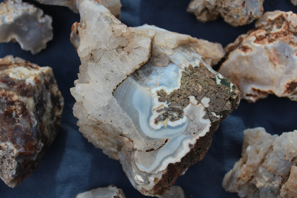 SPECIAL FUND RAISER - BEAUTIFUL - MINERAL - LUNA AGATE - Catron County, New Mexico - 16 Pounds of Lovely Specimens - GREAT For Cutting, Rock Shops, Beautiful in Aquariums, Terrariums and GARDENS