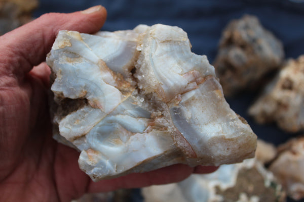 SPECIAL FUND RAISER - BEAUTIFUL - MINERAL - LUNA AGATE - Catron County, New Mexico - 16 Pounds of Lovely Specimens - GREAT For Cutting, Rock Shops, Beautiful in Aquariums, Terrariums and GARDENS
