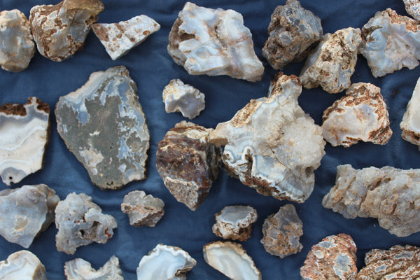 SPECIAL FUND RAISER - BEAUTIFUL - MINERAL - LUNA AGATE - Catron County, New Mexico - 16 Pounds of Lovely Specimens - GREAT For Cutting, Rock Shops, Beautiful in Aquariums, Terrariums and GARDENS
