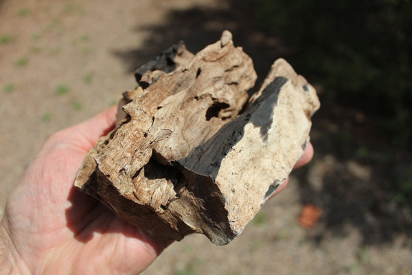 FUND RAISER - A Very BEAUTIFUL COLLECTION OF PETRIFIED/FOSSIL WOOD - From New Mexico!