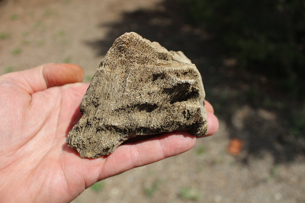 FUND RAISER - A Very BEAUTIFUL COLLECTION OF PETRIFIED/FOSSIL WOOD - From New Mexico!
