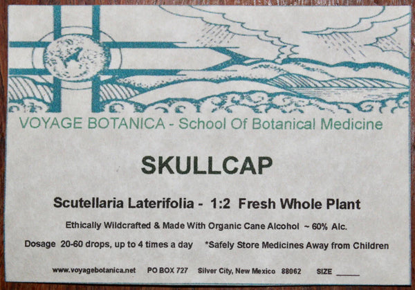 SKULLCAP Extract -   8 OUNCE SIZE  Fresh Plant Extract