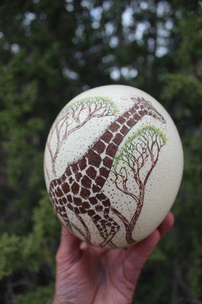 FUND RAISER - Artist Carved/Etched OSTRICH EGG with Giraffe Scene - From Africa   - Please No Discount Codes On This Listing!