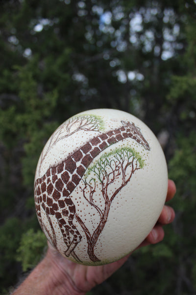 FUND RAISER - Artist Carved/Etched OSTRICH EGG with Giraffe Scene - From Africa   - Please No Discount Codes On This Listing!