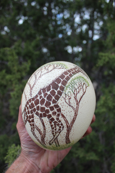 FUND RAISER - Artist Carved/Etched OSTRICH EGG with Giraffe Scene - From Africa   - Please No Discount Codes On This Listing!
