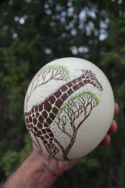 FUND RAISER - Artist Carved/Etched OSTRICH EGG with Giraffe Scene - From Africa   - Please No Discount Codes On This Listing!