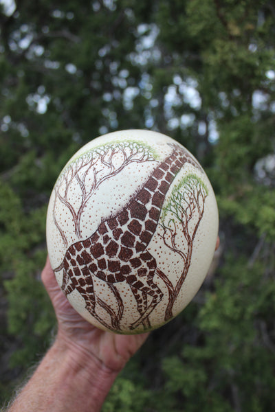 FUND RAISER - Artist Carved/Etched OSTRICH EGG with Giraffe Scene - From Africa   - Please No Discount Codes On This Listing!