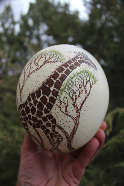 FUND RAISER - Artist Carved/Etched OSTRICH EGG with Giraffe Scene - From Africa   - Please No Discount Codes On This Listing!