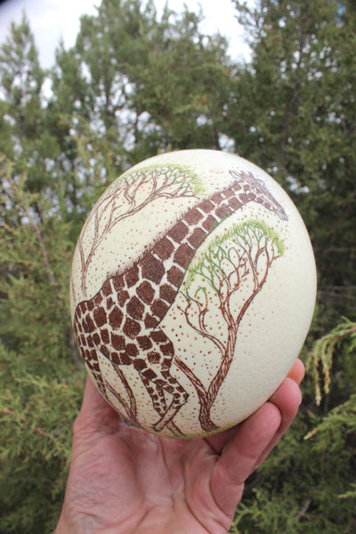 FUND RAISER - Artist Carved/Etched OSTRICH EGG with Giraffe Scene - From Africa   - Please No Discount Codes On This Listing!