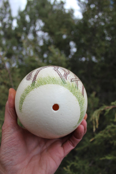 FUND RAISER - Artist Carved/Etched OSTRICH EGG with Giraffe Scene - From Africa   - Please No Discount Codes On This Listing!