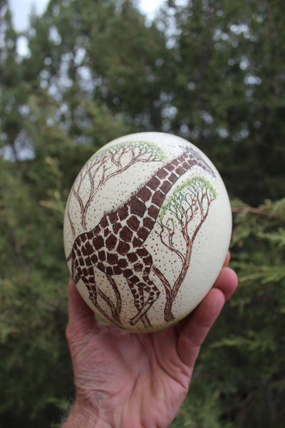 FUND RAISER - Artist Carved/Etched OSTRICH EGG with Giraffe Scene - From Africa   - Please No Discount Codes On This Listing!