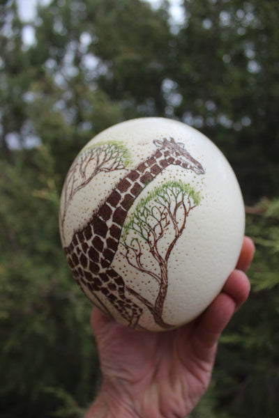 FUND RAISER - Artist Carved/Etched OSTRICH EGG with Giraffe Scene - From Africa   - Please No Discount Codes On This Listing!