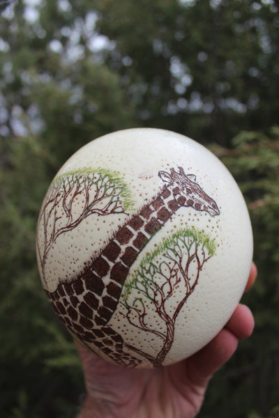 FUND RAISER - Artist Carved/Etched OSTRICH EGG with Giraffe Scene - From Africa   - Please No Discount Codes On This Listing!