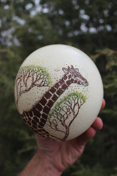 FUND RAISER - Artist Carved/Etched OSTRICH EGG with Giraffe Scene - From Africa   - Please No Discount Codes On This Listing!