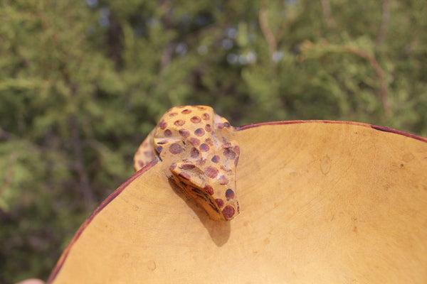 FUND RAISER -   Beautiful Artist Carved Wooden Bowl with Leopard From Mozambique -  Please No Discount Codes On This Listing!
