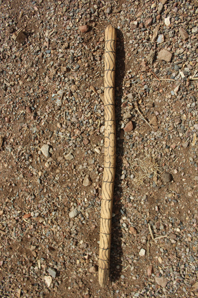 FUND RAISER - Personally Used For Many Years - Aboriginal Digging Stick From Australia -  Please No Discount Codes On This Listing!