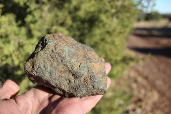 FUND RAISER - 725 gram DIMMITT Stone Meteorite - A Super Deal   -  Please No Discount Codes On This Listing!