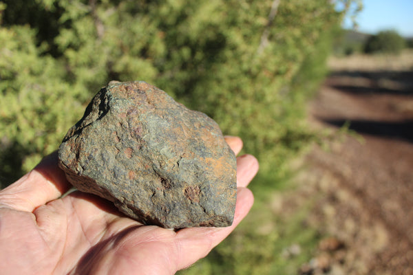 FUND RAISER - 725 gram DIMMITT Stone Meteorite - A Super Deal   -  Please No Discount Codes On This Listing!