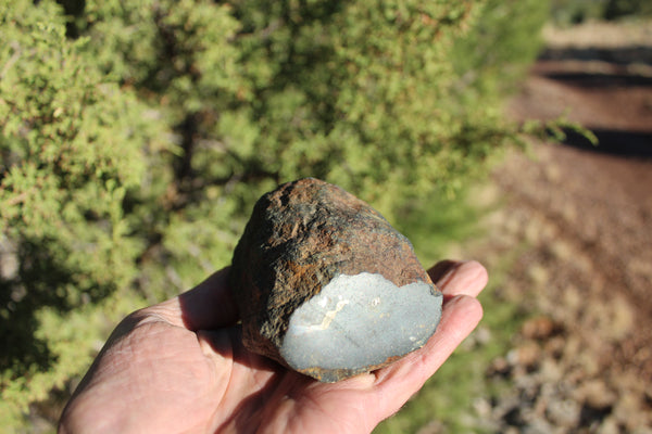 FUND RAISER - 725 gram DIMMITT Stone Meteorite - A Super Deal   -  Please No Discount Codes On This Listing!