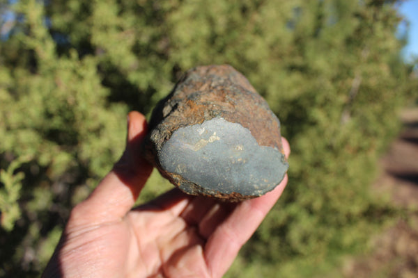 FUND RAISER - 725 gram DIMMITT Stone Meteorite - A Super Deal   -  Please No Discount Codes On This Listing!