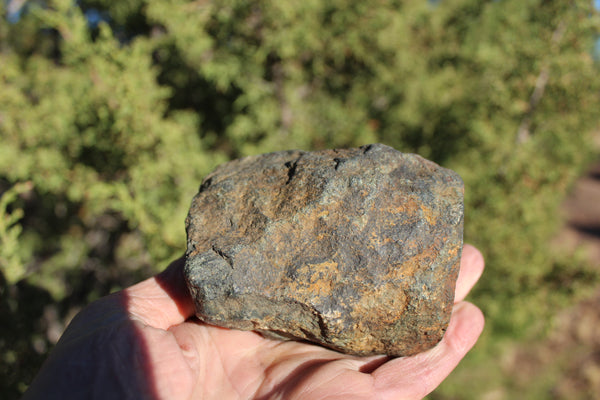 FUND RAISER - 725 gram DIMMITT Stone Meteorite - A Super Deal   -  Please No Discount Codes On This Listing!
