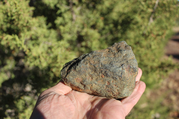 FUND RAISER - 725 gram DIMMITT Stone Meteorite - A Super Deal   -  Please No Discount Codes On This Listing!