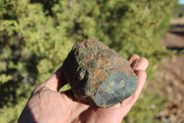 FUND RAISER - 725 gram DIMMITT Stone Meteorite - A Super Deal   -  Please No Discount Codes On This Listing!