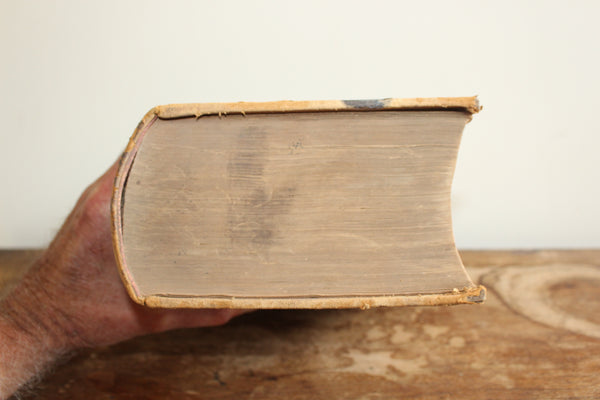 1879 The Dispensatory of the United States by Wood & Bache 14th Edition