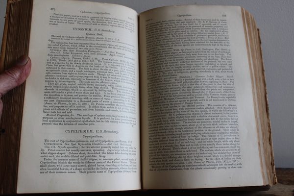 1879 The Dispensatory of the United States by Wood & Bache 14th Edition