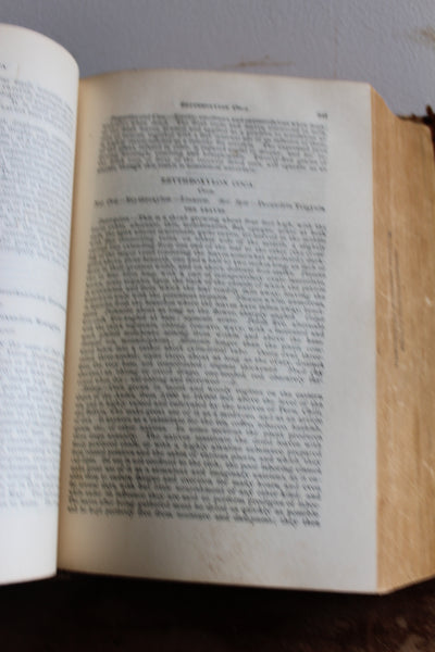 The American Dispensatory [Fifteenth Edition] King & Lloyd 1886  A CORNERSTONE Of Modern Botanical Medicine
