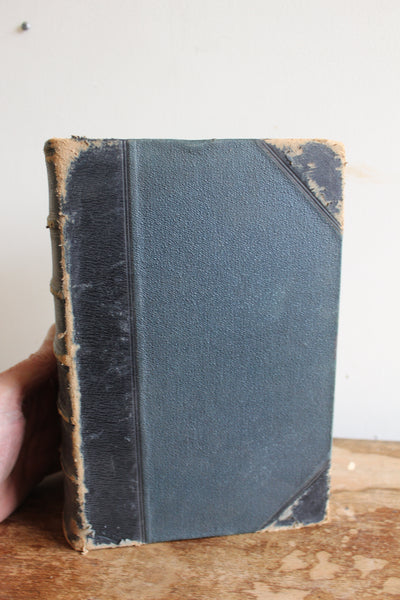 1891 The Dispensatory of the United States by Wood & Bache 16th Edition