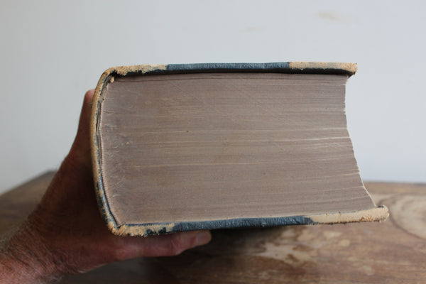 1891 The Dispensatory of the United States by Wood & Bache 16th Edition