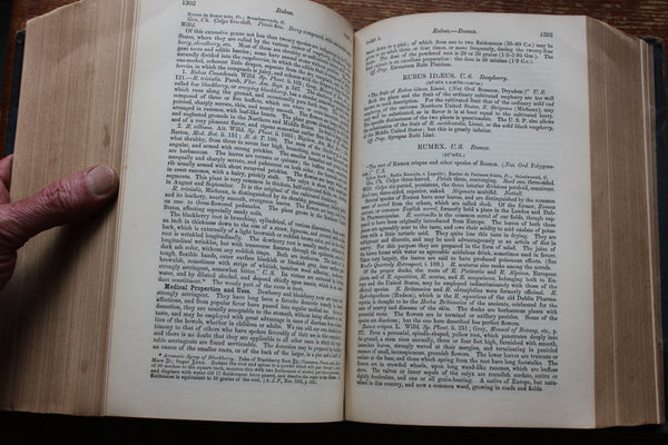 1891 The Dispensatory of the United States by Wood & Bache 16th Edition