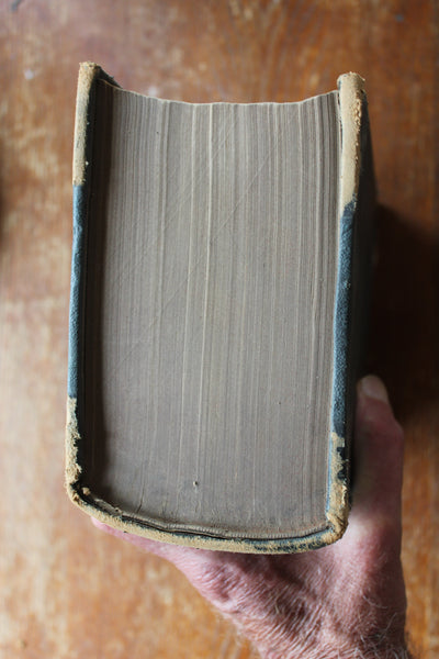 1891 The Dispensatory of the United States by Wood & Bache 16th Edition