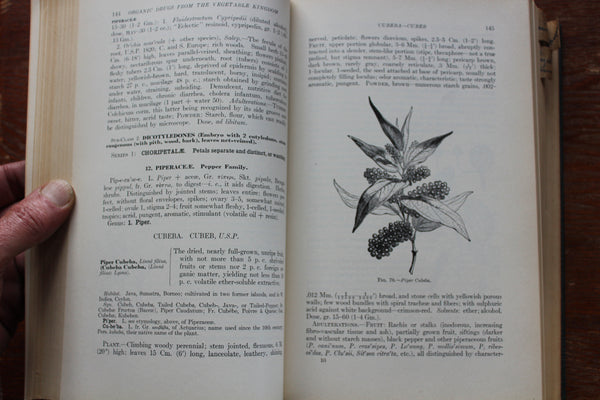 Materia Medica and Pharmacology 1927 Culbreth Hardcover - EXCELLENT REFERENCE