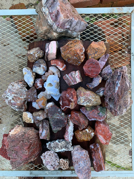 ROCK CLUB MEMBERSHIP -- Every 3 Months Receive a Shipment  of Unique Specimens! SUPERB PIECES - Fossils, Agates, Azurite, Opal, Silver Ore, and MUCH MORE