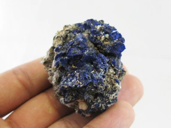 ROCK CLUB MEMBERSHIP -- Every 3 Months Receive a Shipment  of Unique Specimens! SUPERB PIECES - Fossils, Agates, Azurite, Opal, Silver Ore, and MUCH MORE